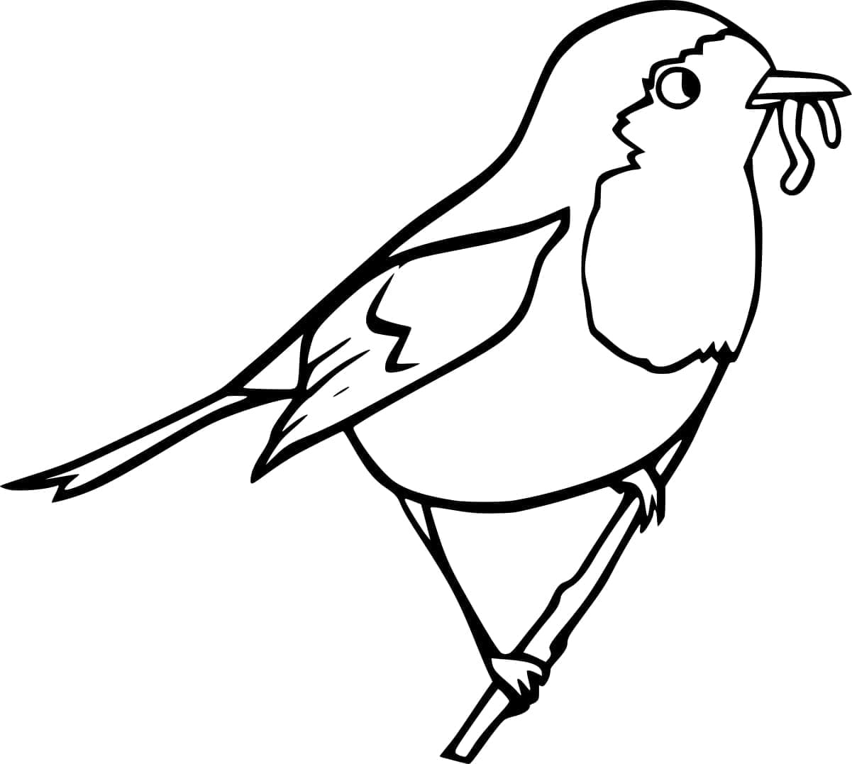 Gratis printbar rødhals Tegninger til Farvelægning