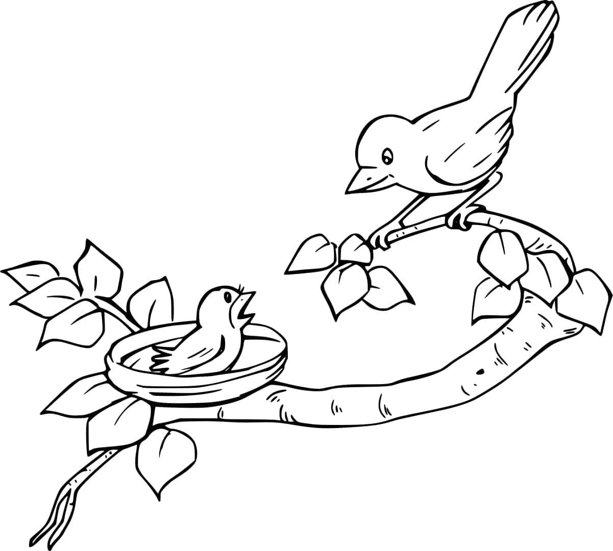 Mor og baby Rødhals Tegninger til Farvelægning