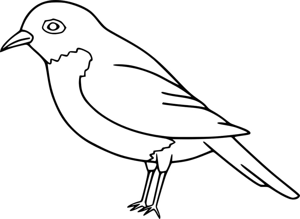 Printbar Rødhals fugl Tegninger til Farvelægning