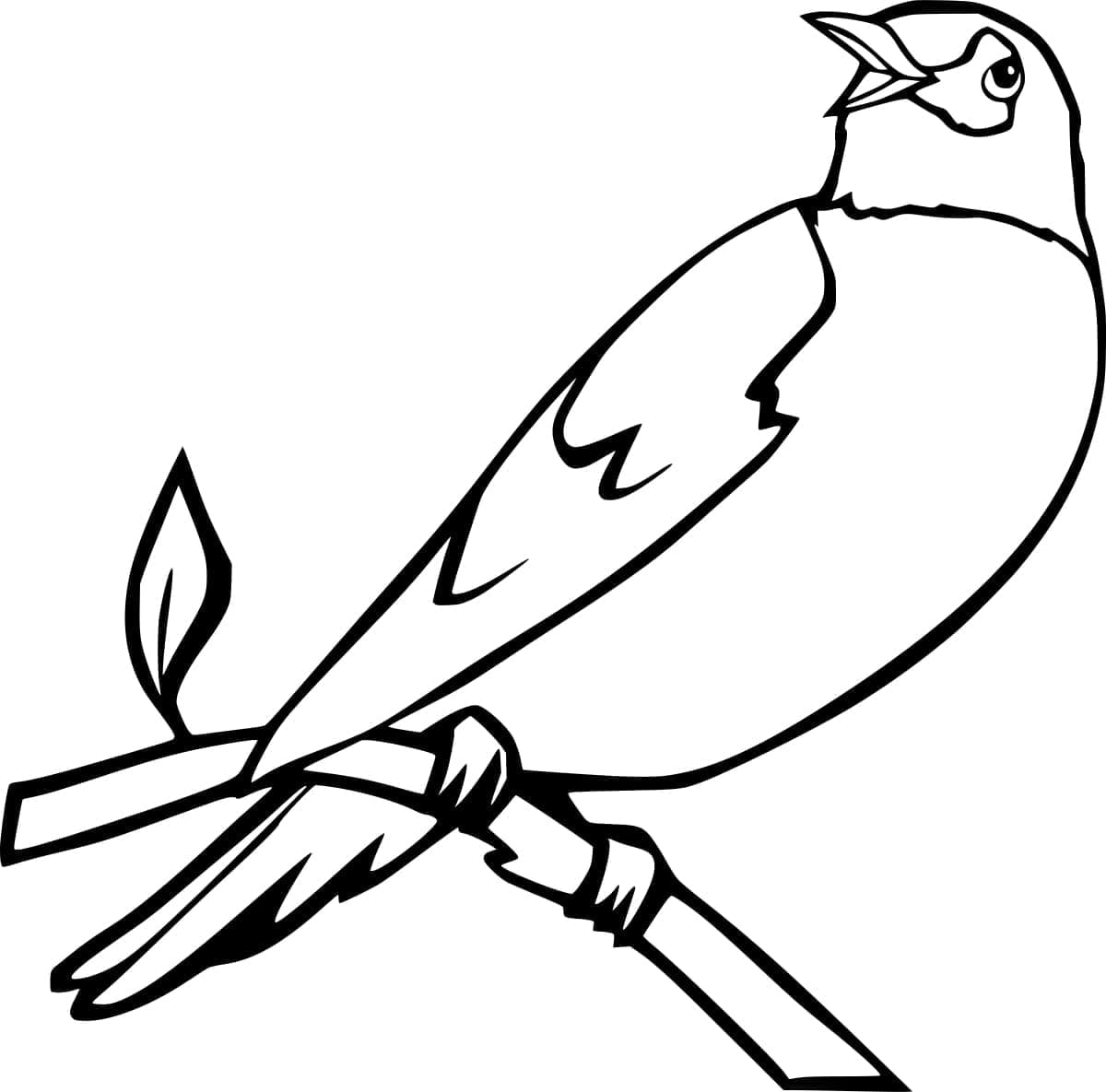 Rødhals fugl billede Tegninger til Farvelægning