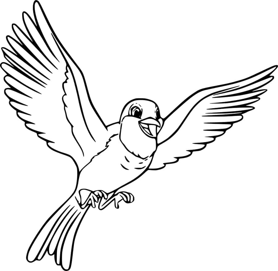 Tegneseriefugl Rødhals Tegninger til Farvelægning