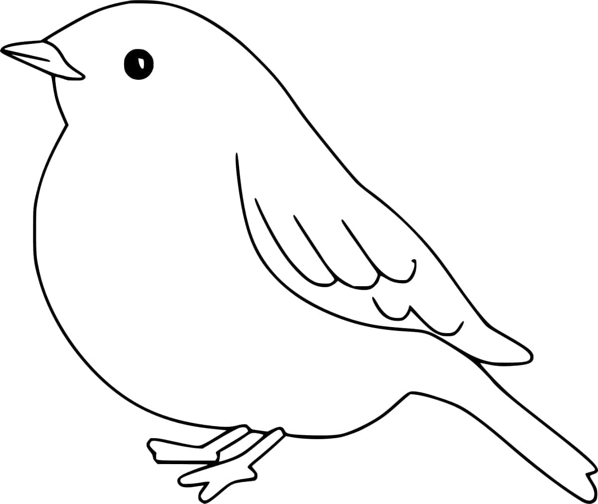 Yndig Rødhals Tegninger til Farvelægning