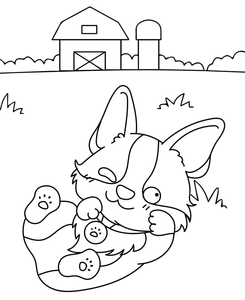 Corgi hund ligger og leger lykkeligt Tegninger til Farvelægning