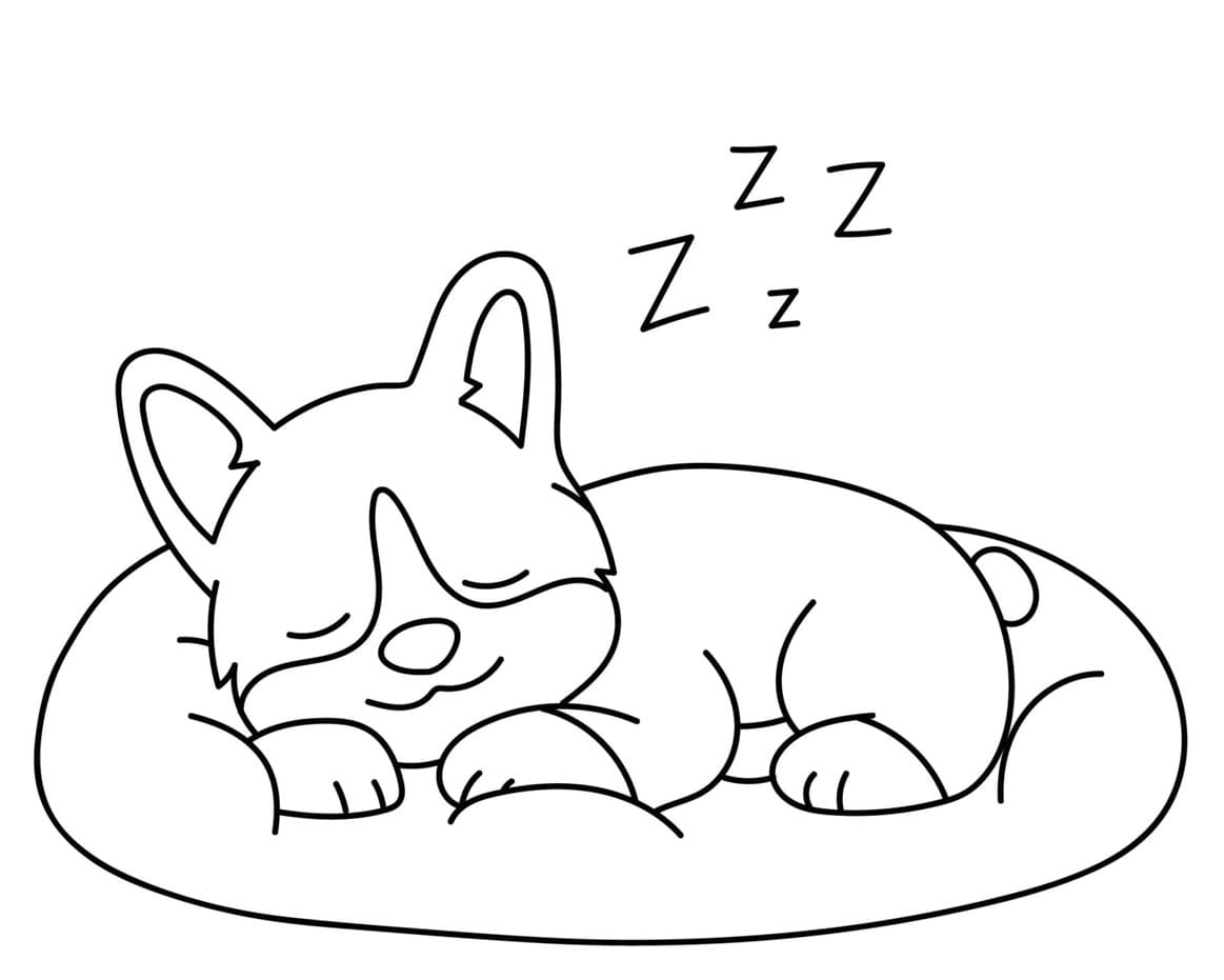 Corgi hund sover på pude Tegninger til Farvelægning