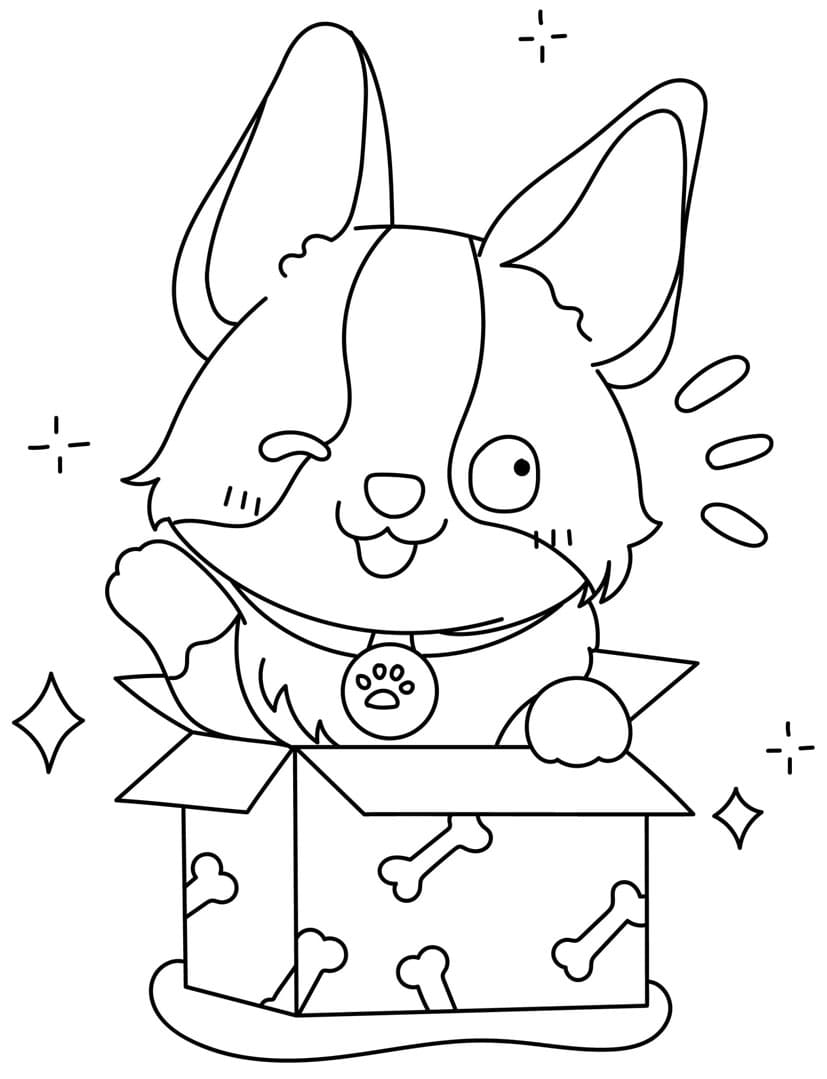 Corgi i gaveæske Tegninger til Farvelægning