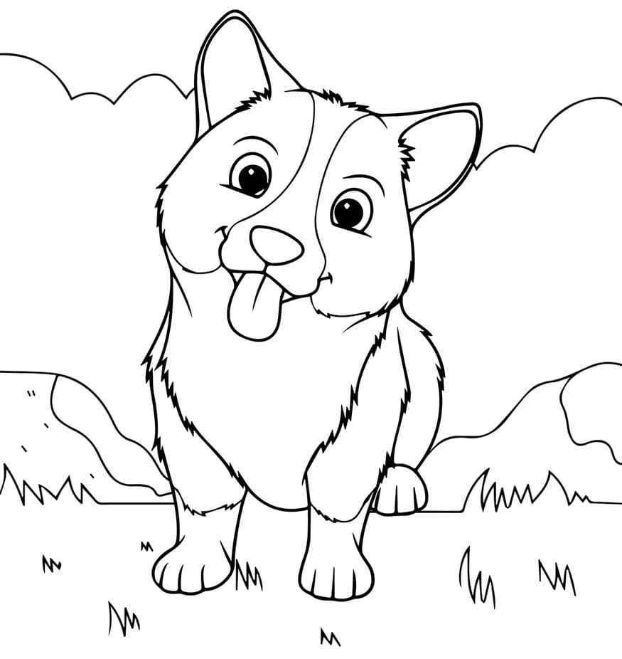 Corgi sidder på græsset Tegninger til Farvelægning