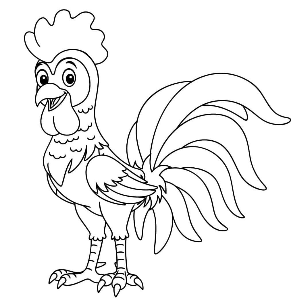 Den søde hane Tegninger til Farvelægning
