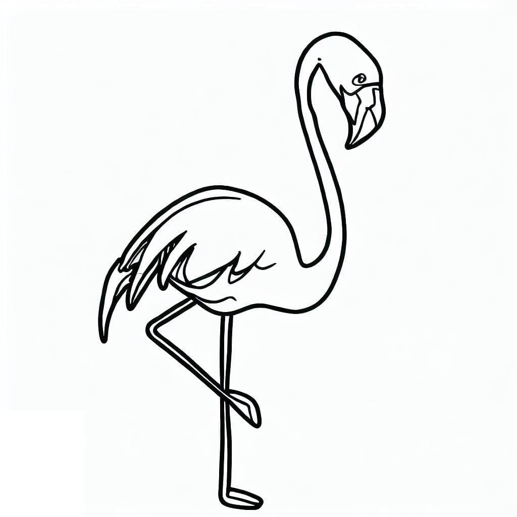 Gratis Flamingo Tegninger til Farvelægning