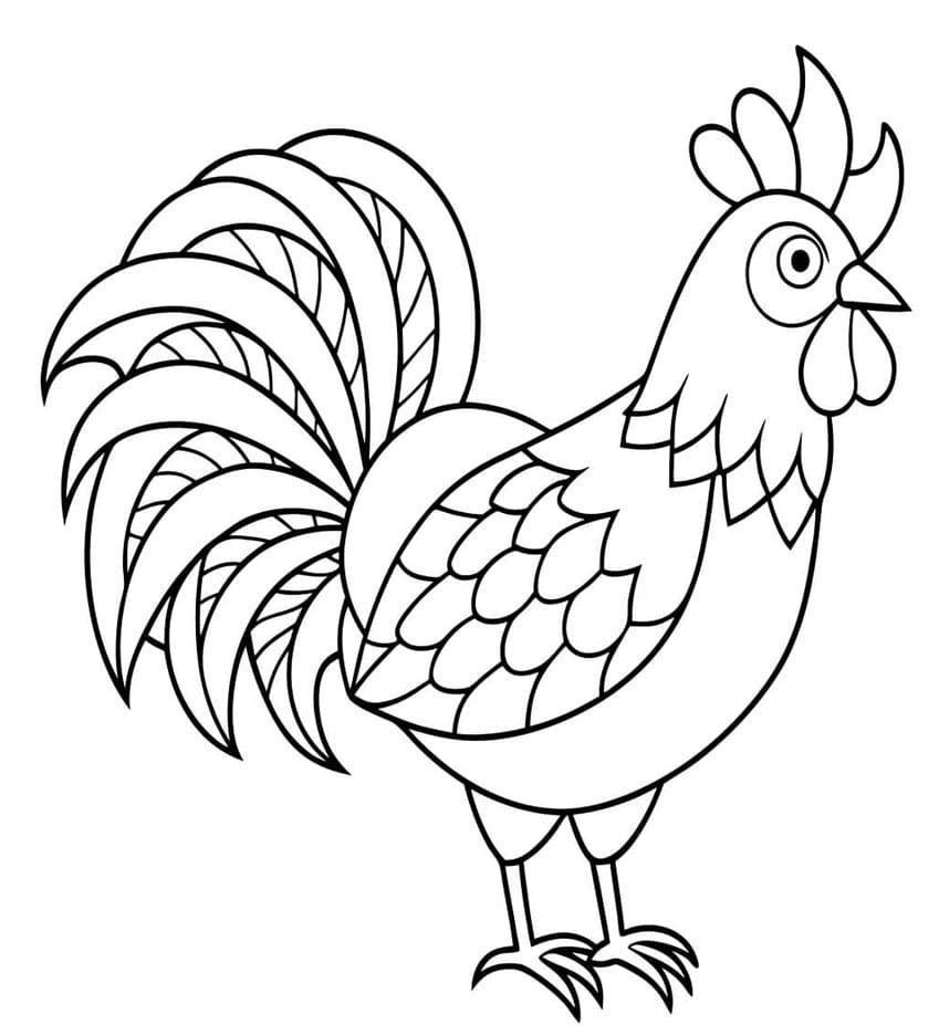 Hane indviklet Tegninger til Farvelægning