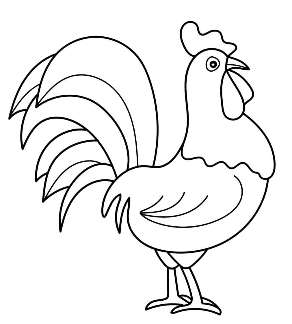 Hane til børn Tegninger til Farvelægning