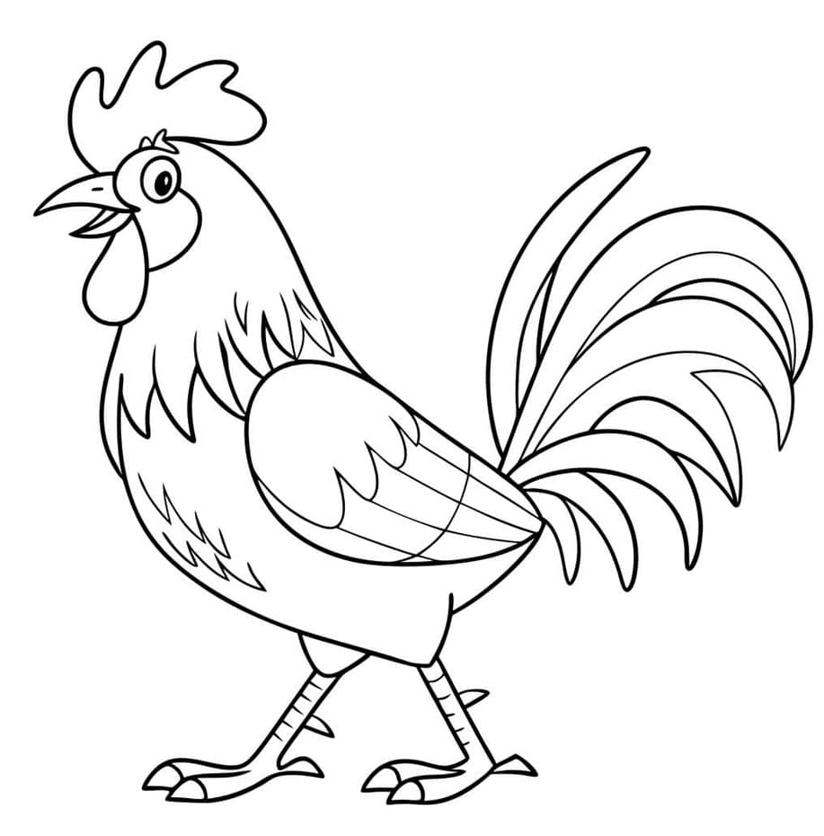 Stående hane Tegninger til Farvelægning