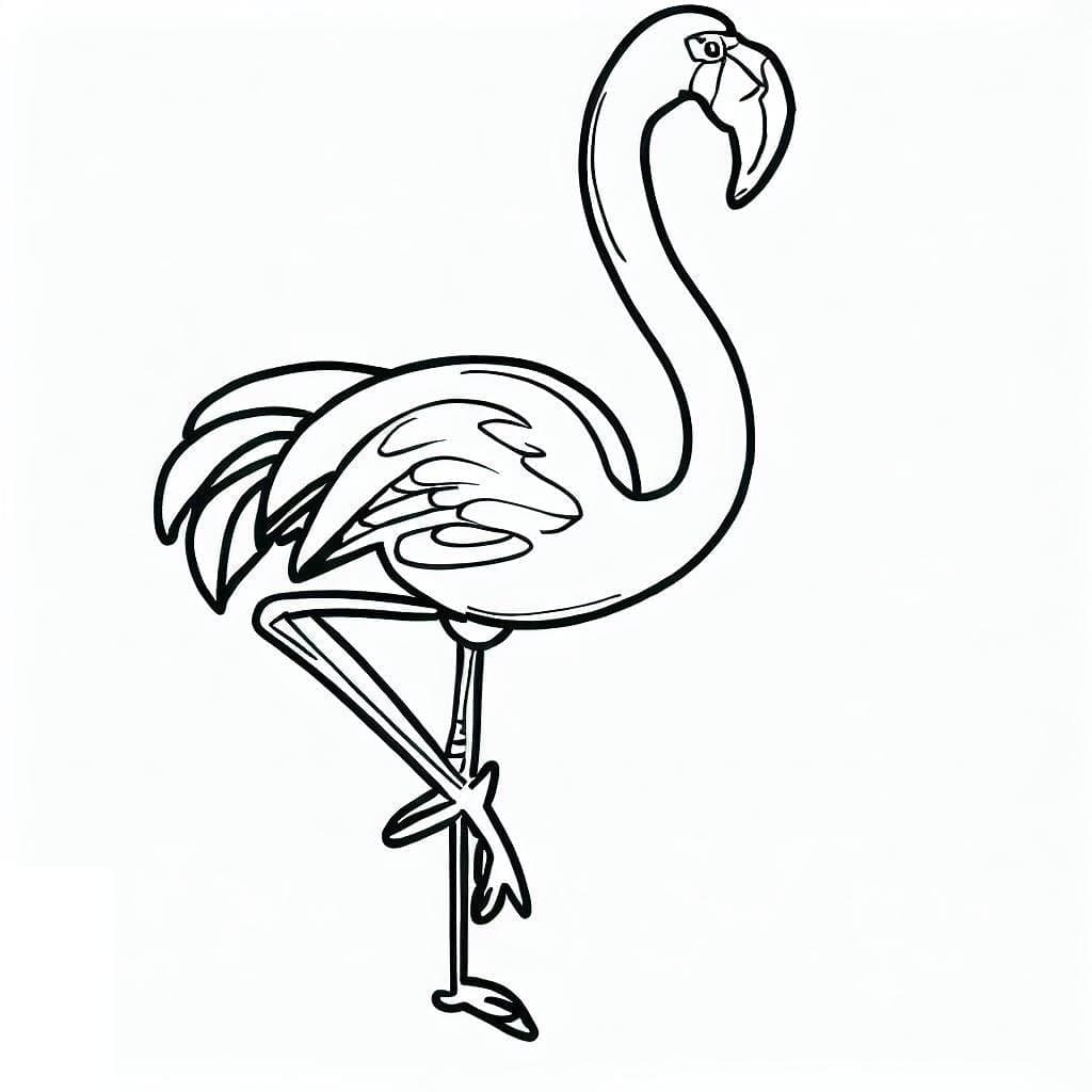Tegning af flamingo Tegninger til Farvelægning