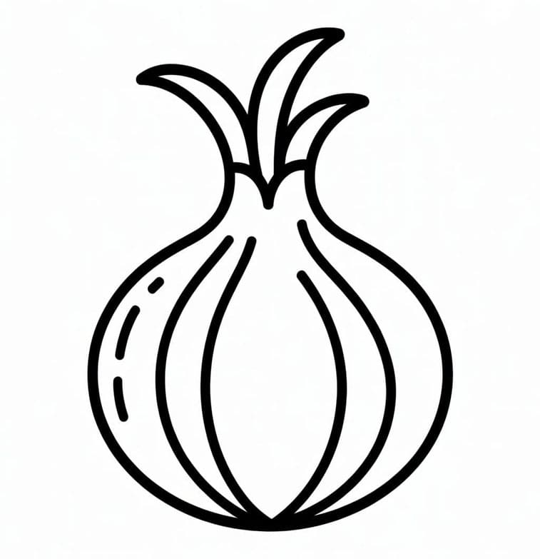 Almindelig løg Tegninger til Farvelægning