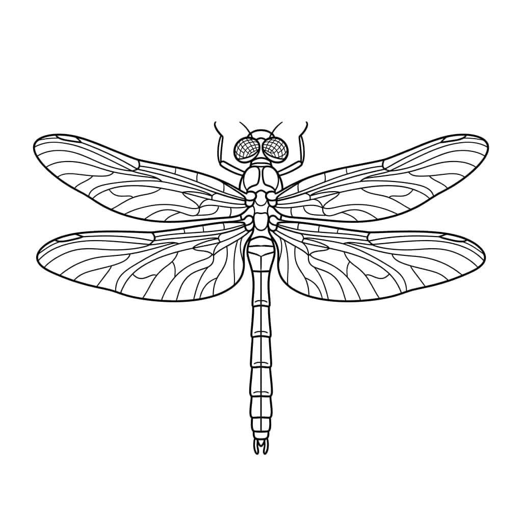 Blød Guldsmed Tegninger til Farvelægning