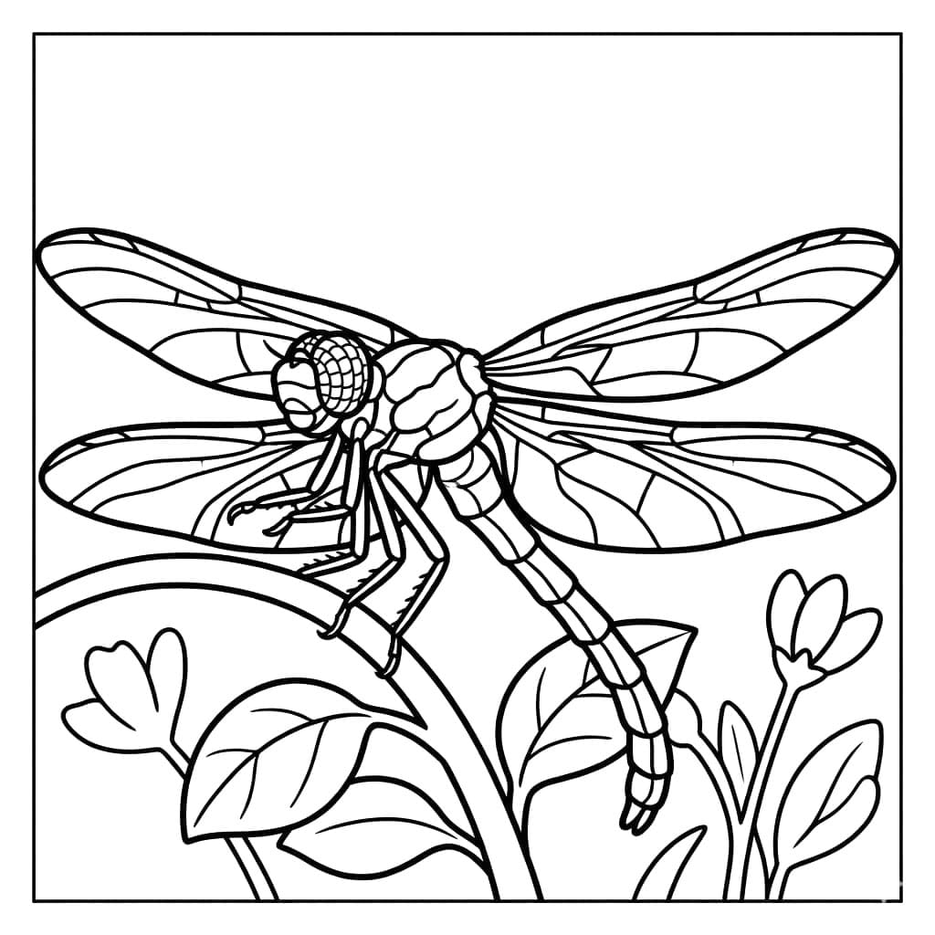 Blomsterguldsmed Tegninger til Farvelægning