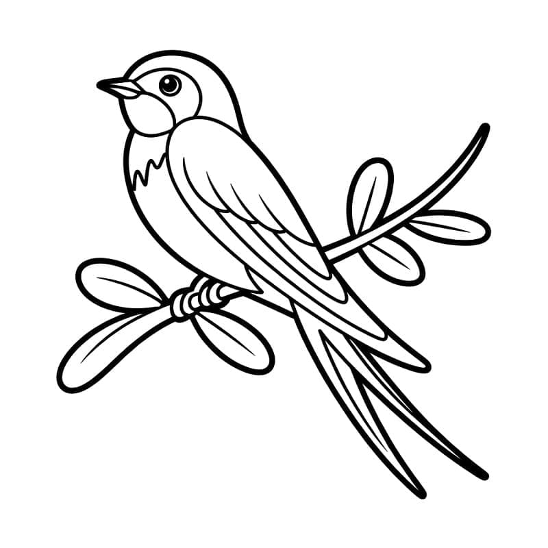 Dejlig svale Tegninger til Farvelægning