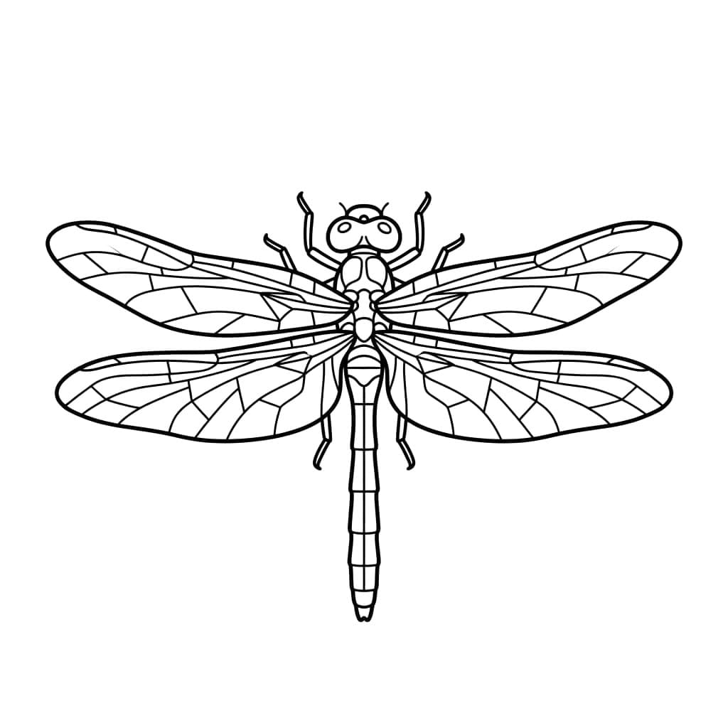 Detaljeret Guldsmed Tegninger til Farvelægning