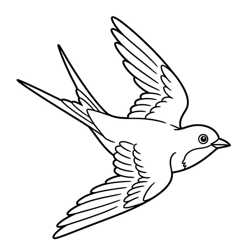 Dynamisk vingeslag Tegninger til Farvelægning