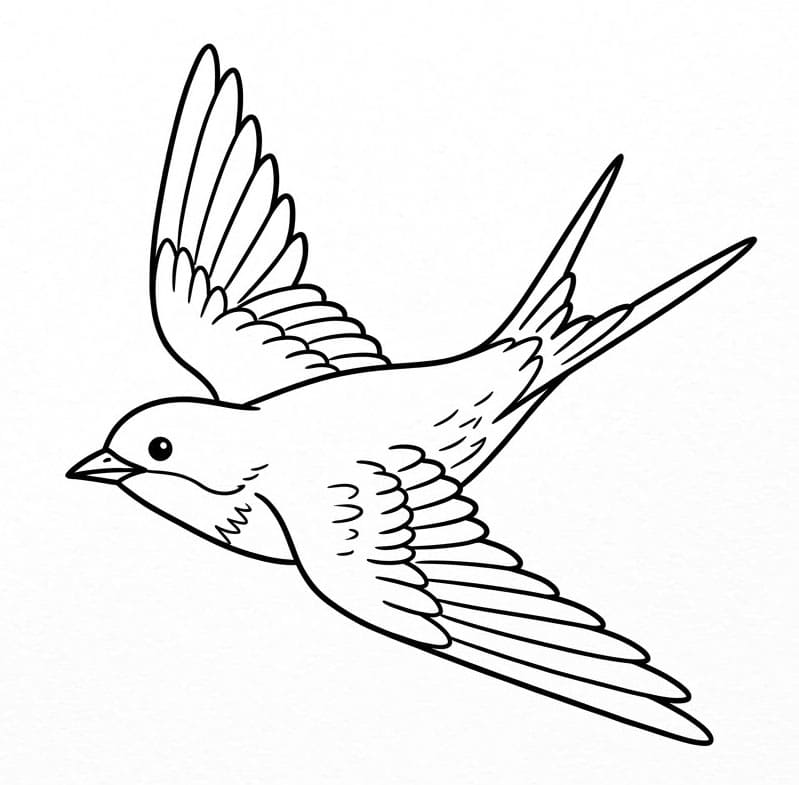 Elegant svæveflugt Tegninger til Farvelægning