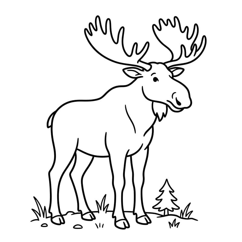 Elg og lille træ Tegninger til Farvelægning
