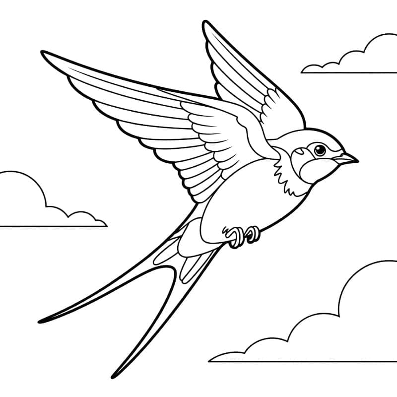 En flyvende svale Tegninger til Farvelægning