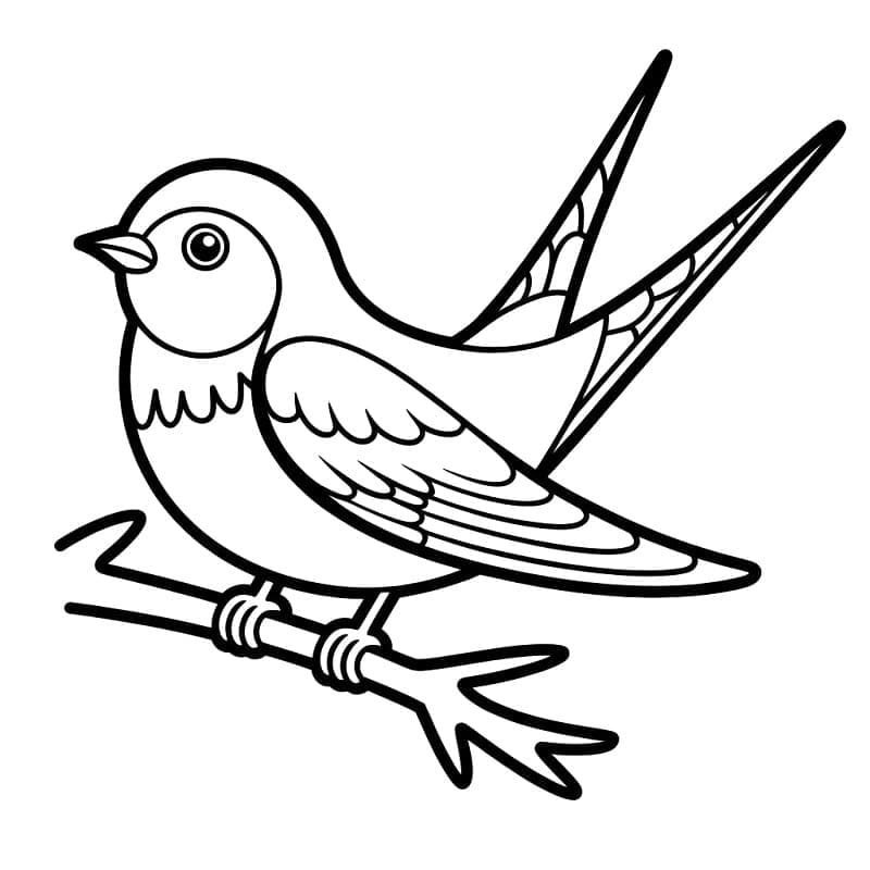 En sød svalefugl Tegninger til Farvelægning