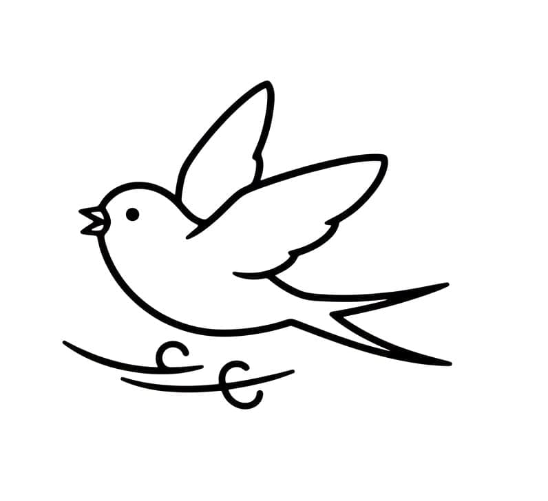 En svalefugl Tegninger til Farvelægning