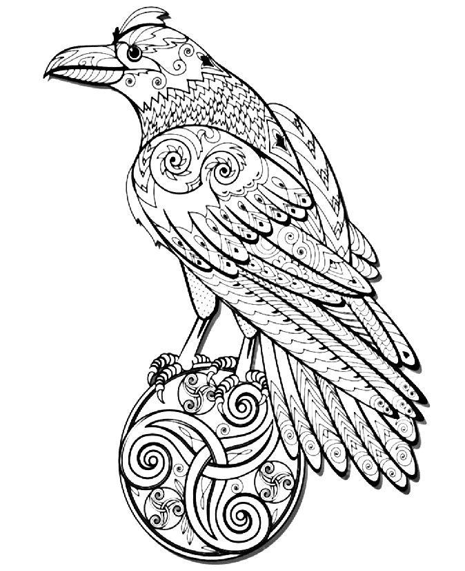 Eventyrlandskrage Tegninger til Farvelægning