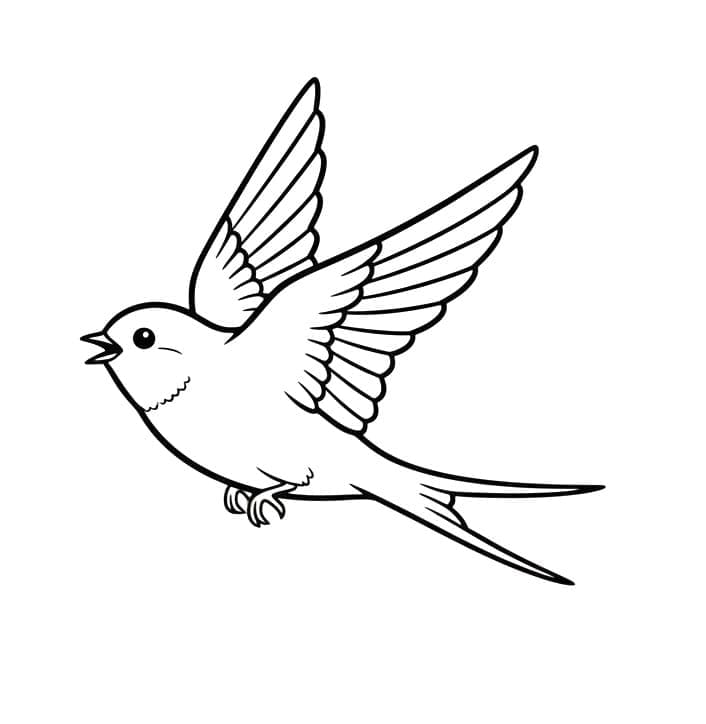 Flyvende svale Tegninger til Farvelægning
