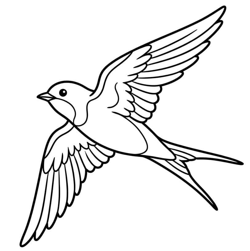 Flyvende svale gratis Tegninger til Farvelægning