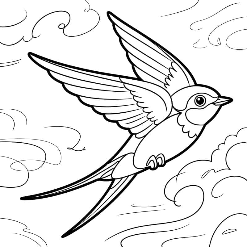 Flyvende svalefugl Tegninger til Farvelægning