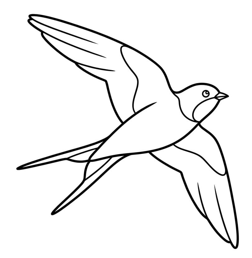 Fri flugt Tegninger til Farvelægning