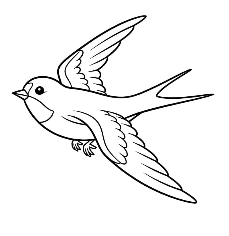 Fri Sluge Tegninger til Farvelægning