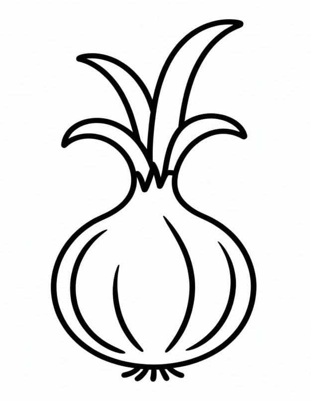 Gratis billeder af løg Tegninger til Farvelægning