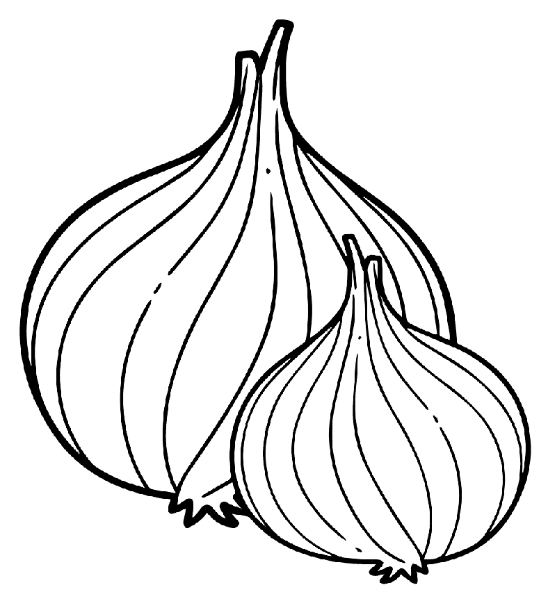 Gratis løgbilleder Tegninger til Farvelægning