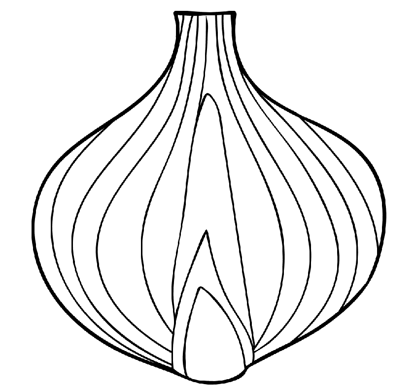 Gratis printbart løg Tegninger til Farvelægning