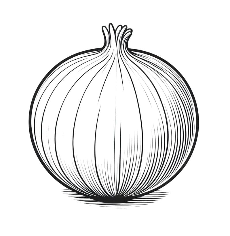 Grøntsagsløg Tegninger til Farvelægning