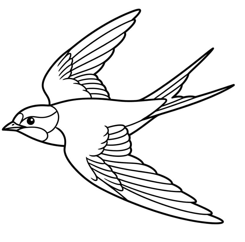 Hurtig drejning Tegninger til Farvelægning