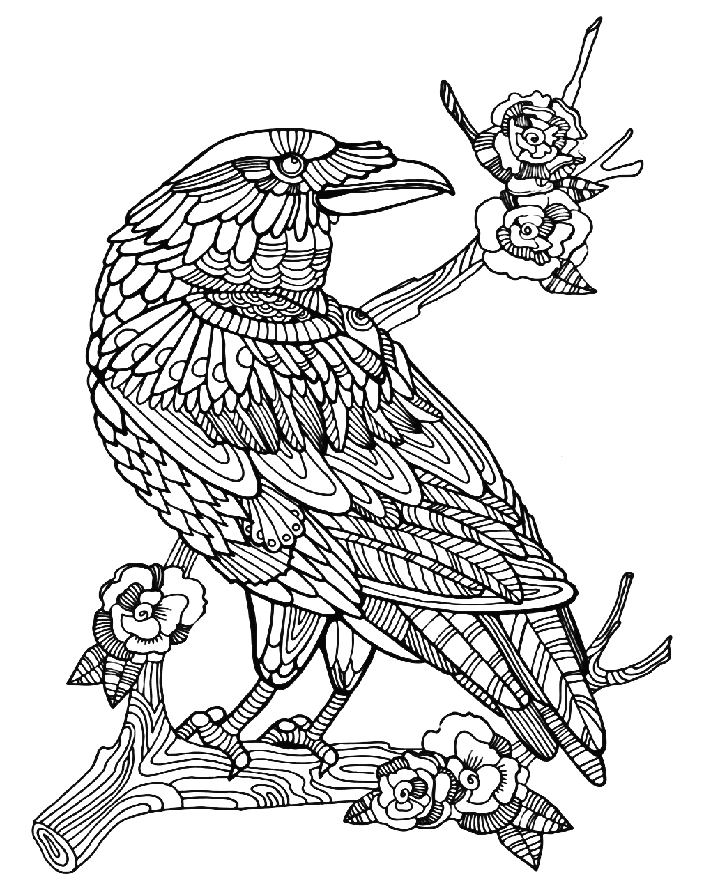 Krage for voksne Tegninger til Farvelægning