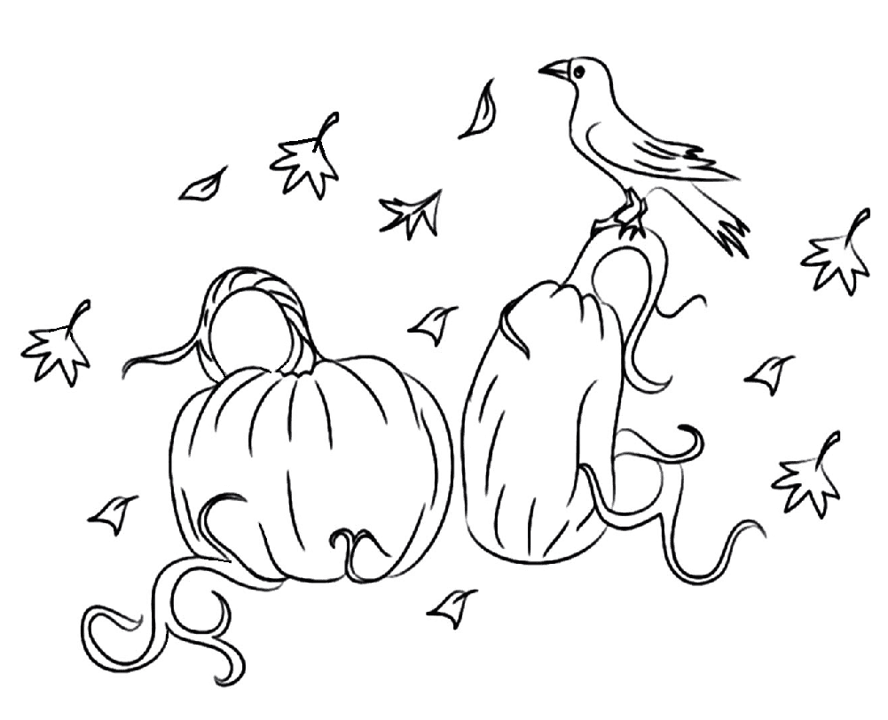 Krage med græskarskind Tegninger til Farvelægning