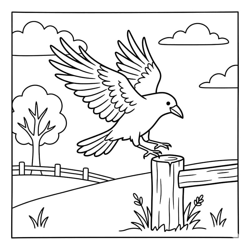 Krage tegner Tegninger til Farvelægning