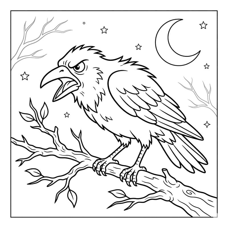 Krage vred Tegninger til Farvelægning