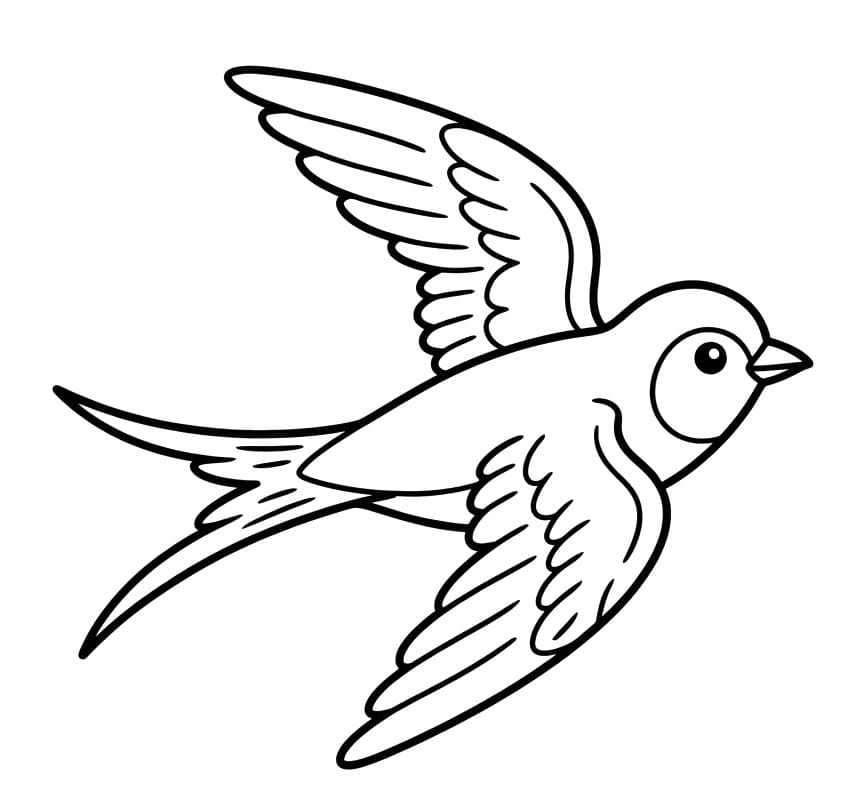 Lav svævning Tegninger til Farvelægning