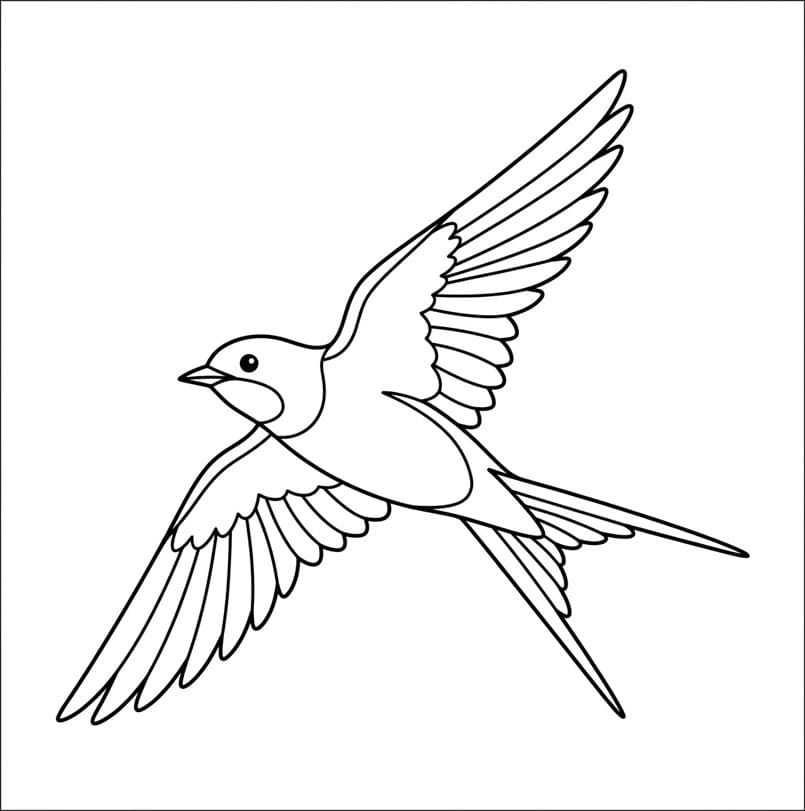 Let vingeflugt Tegninger til Farvelægning