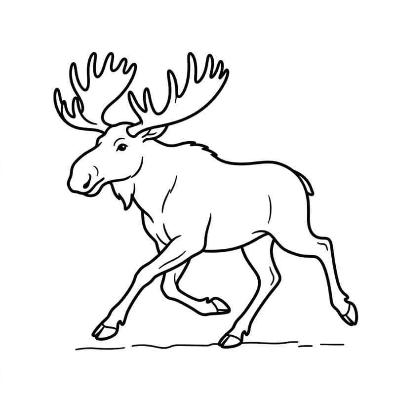 Løbende elg Tegninger til Farvelægning