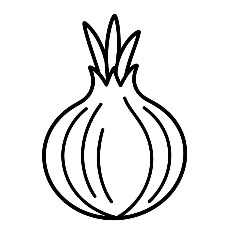 Løg let Tegninger til Farvelægning