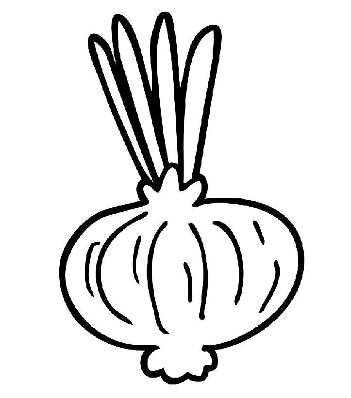 Løg med spire Tegninger til Farvelægning