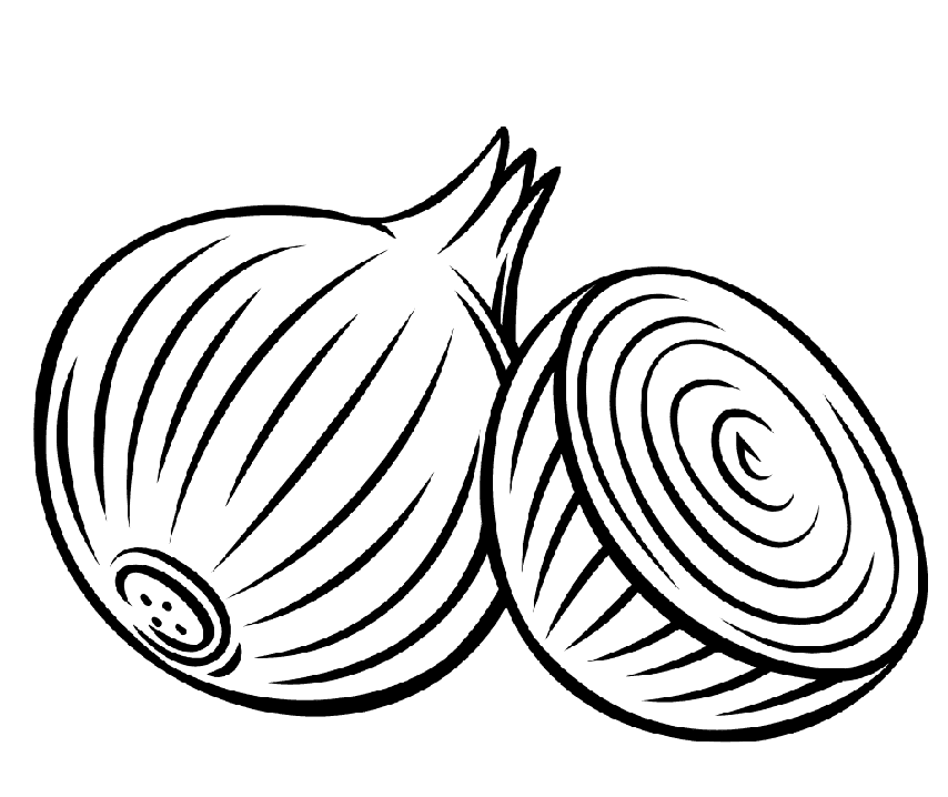 Løgbilleder Tegninger til Farvelægning
