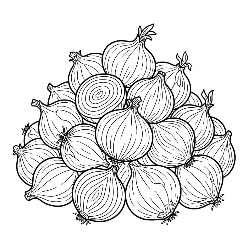 Løgbunke Tegninger til Farvelægning