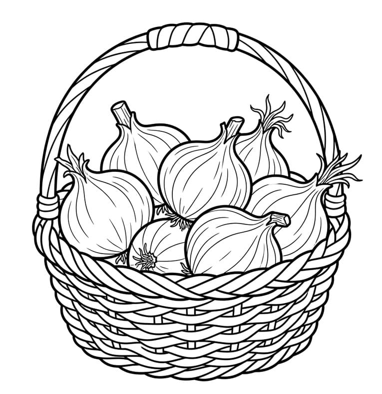 Løgkurv Tegninger til Farvelægning